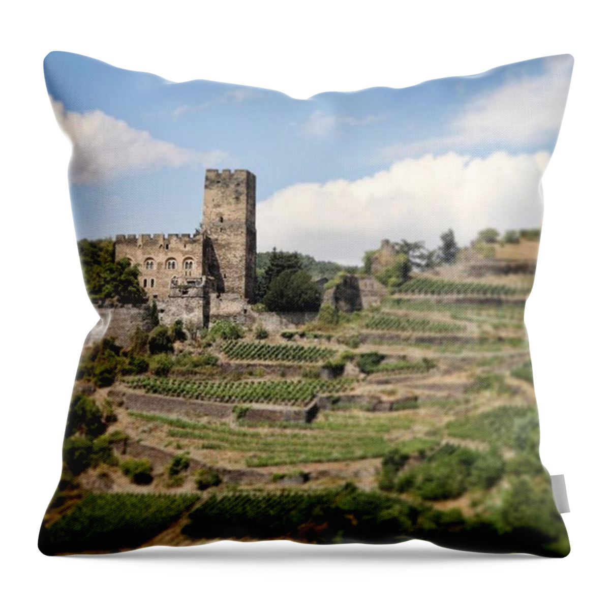 Rhineriver Throw Pillow featuring the photograph Rhine River Castle and Winery by Nancy Ingersoll