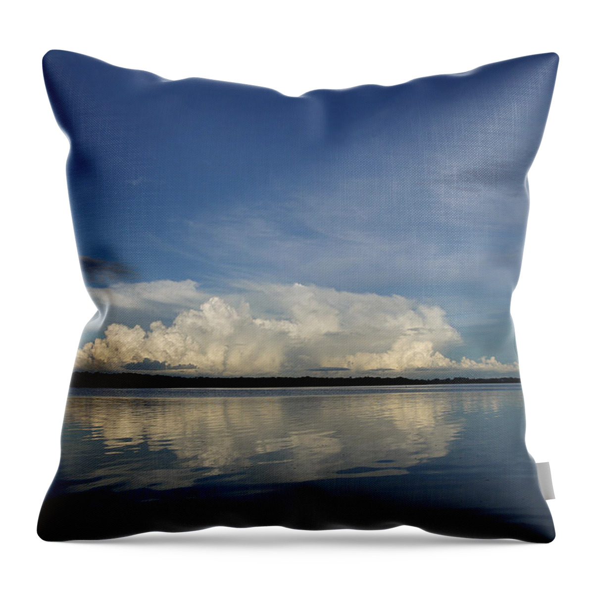 Weather Throw Pillow featuring the photograph Weather from Tampa Bay 871 by Wesley Elsberry