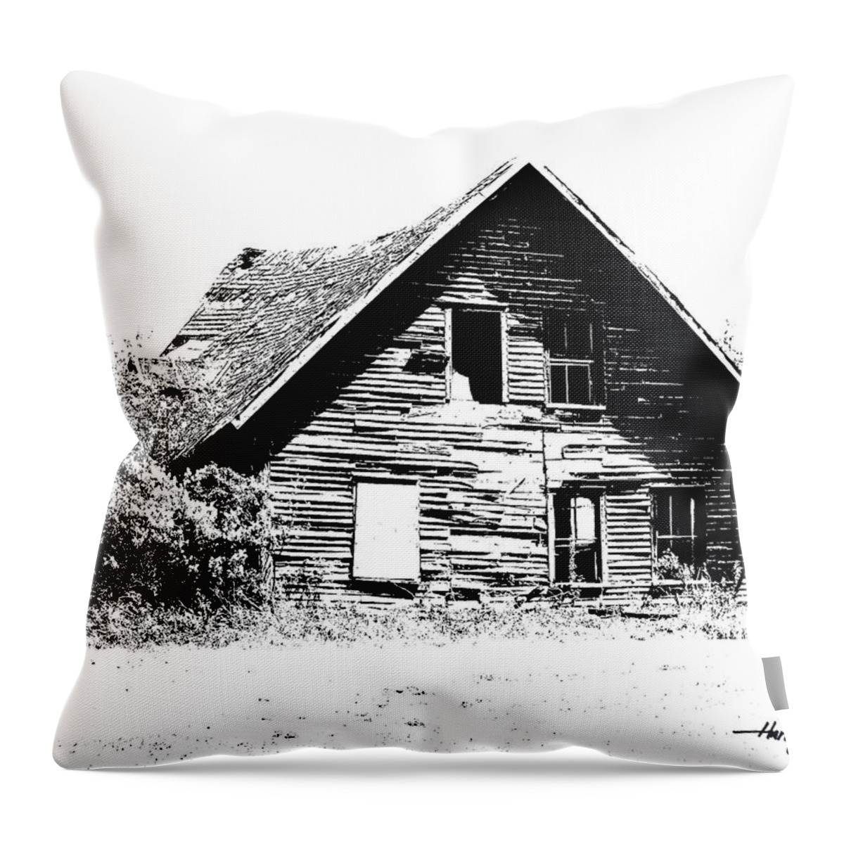 Building Throw Pillow featuring the photograph Weathered by Harry Moulton