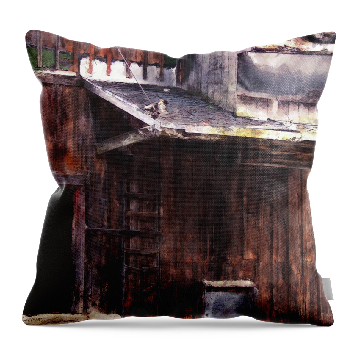 Photography Throw Pillow featuring the photograph Weathered Old Building by Phil Perkins