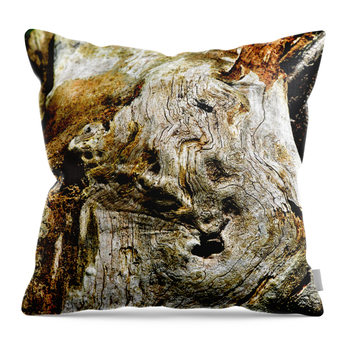 Nature Throw Pillow featuring the photograph Weathered Wood by Debbie Portwood