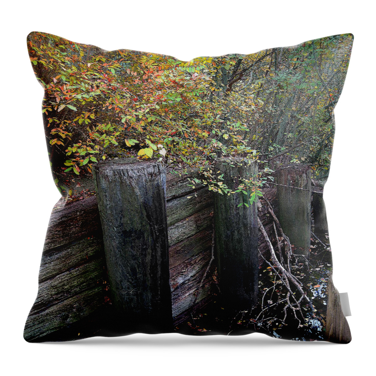 Cedric Hampton Throw Pillow featuring the photograph Weathered Wood In Autumn by Cedric Hampton