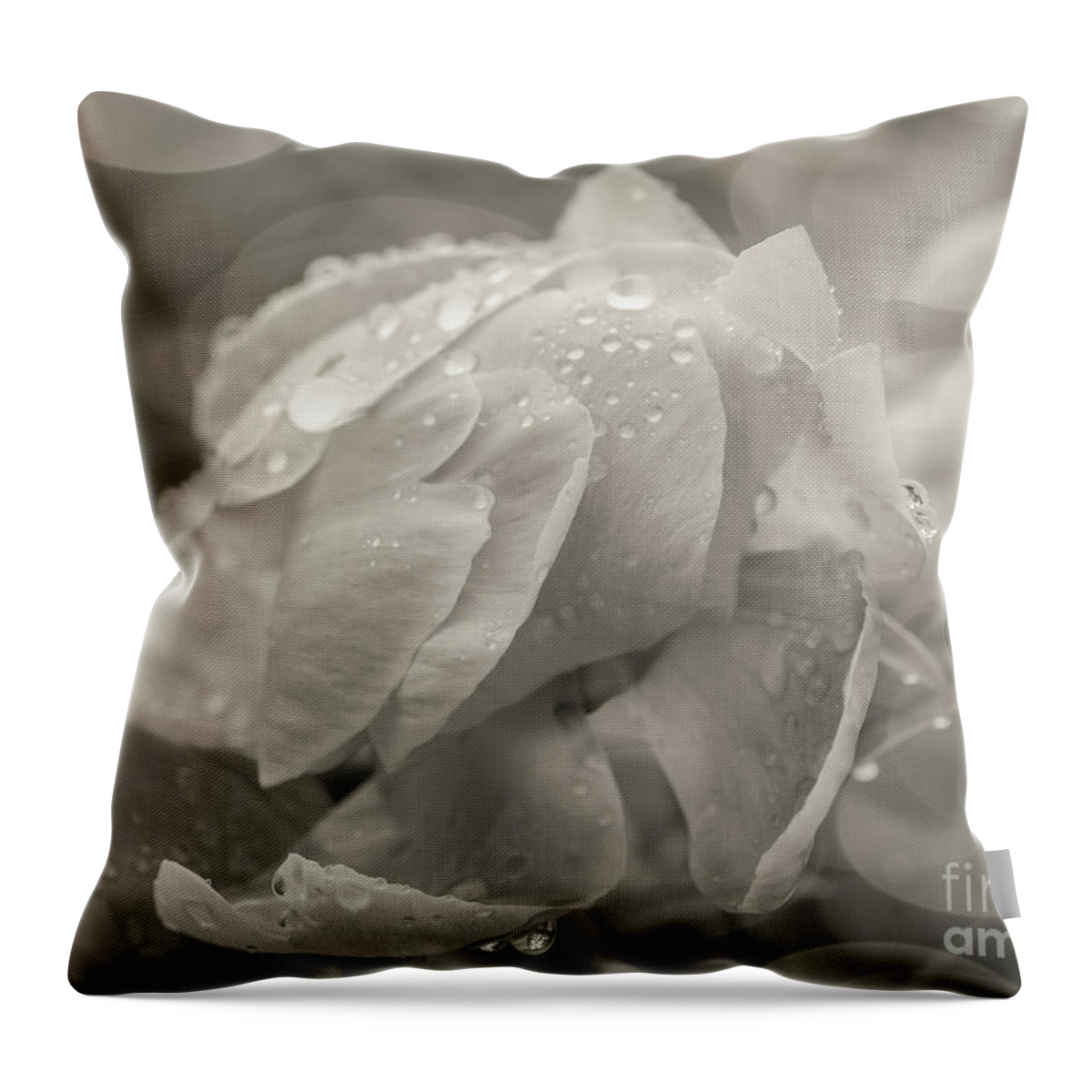 Wedding Day Bliss Throw Pillow featuring the photograph Wedding Day Bliss by Rachel Cohen