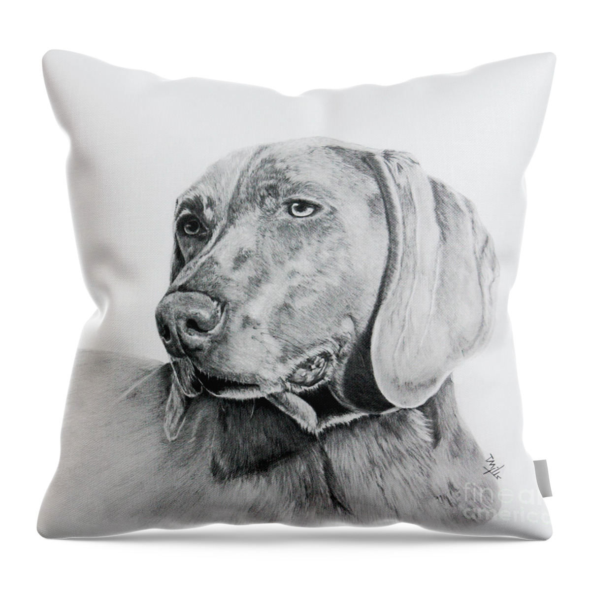 Dog Throw Pillow featuring the drawing Weimaraner by Terri Mills