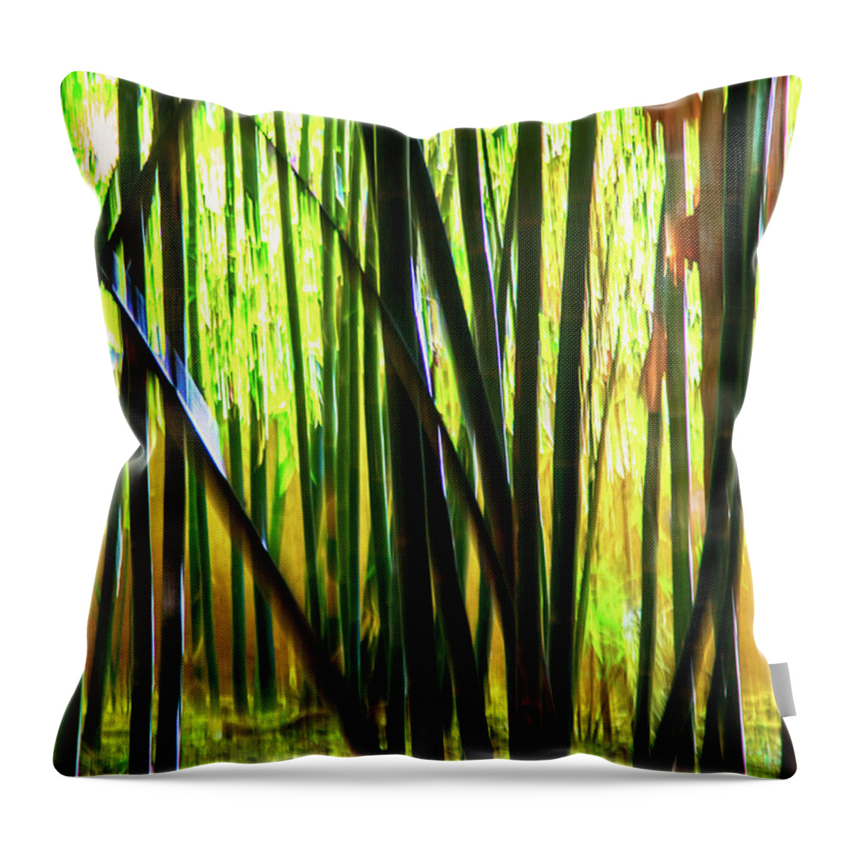 Bamboo Throw Pillow featuring the photograph Welcome to the Bamboo Jungle by Rene Triay FineArt Photos