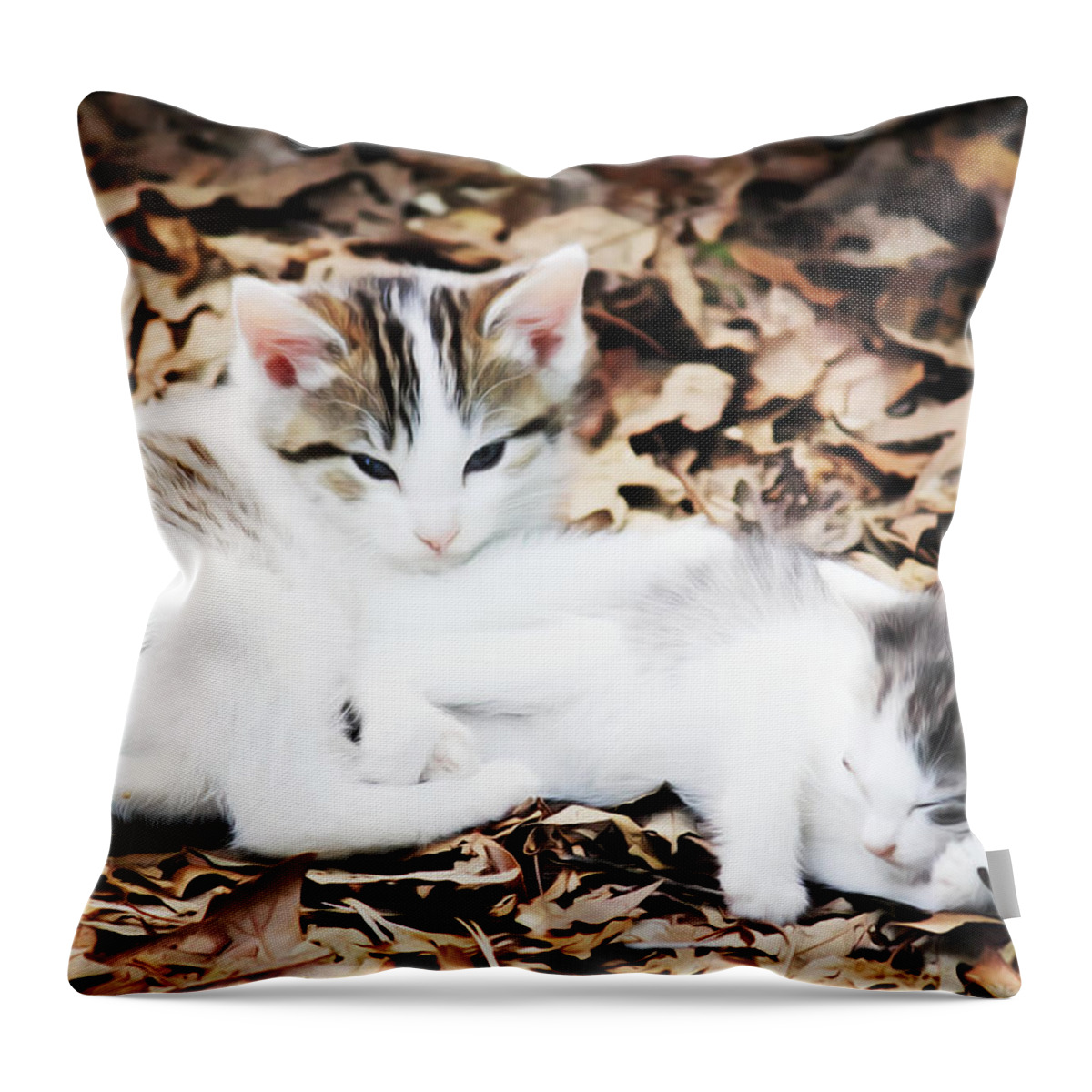 Cats Throw Pillow featuring the photograph We're Bored by David Smith