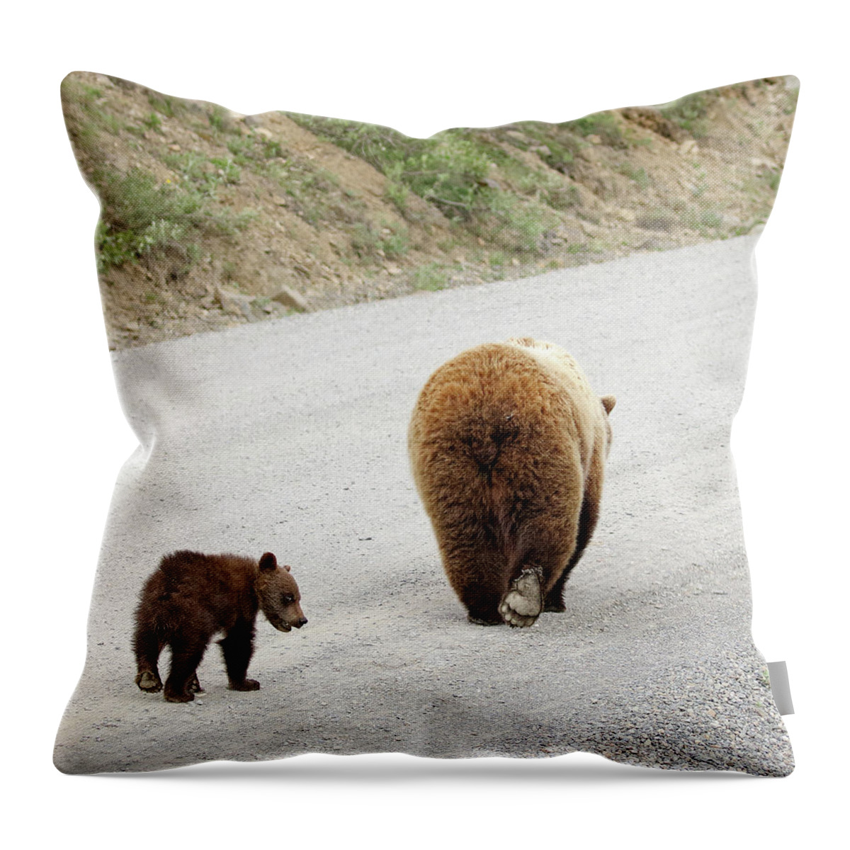 Cub Throw Pillow featuring the photograph We're Done Here by Jean Clark