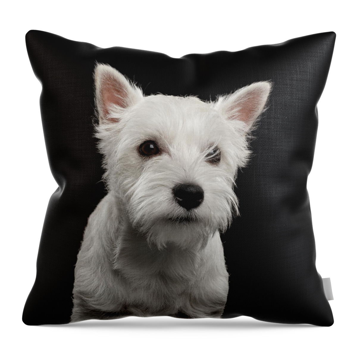 West Throw Pillow featuring the photograph West highland white terrier by Sergey Taran