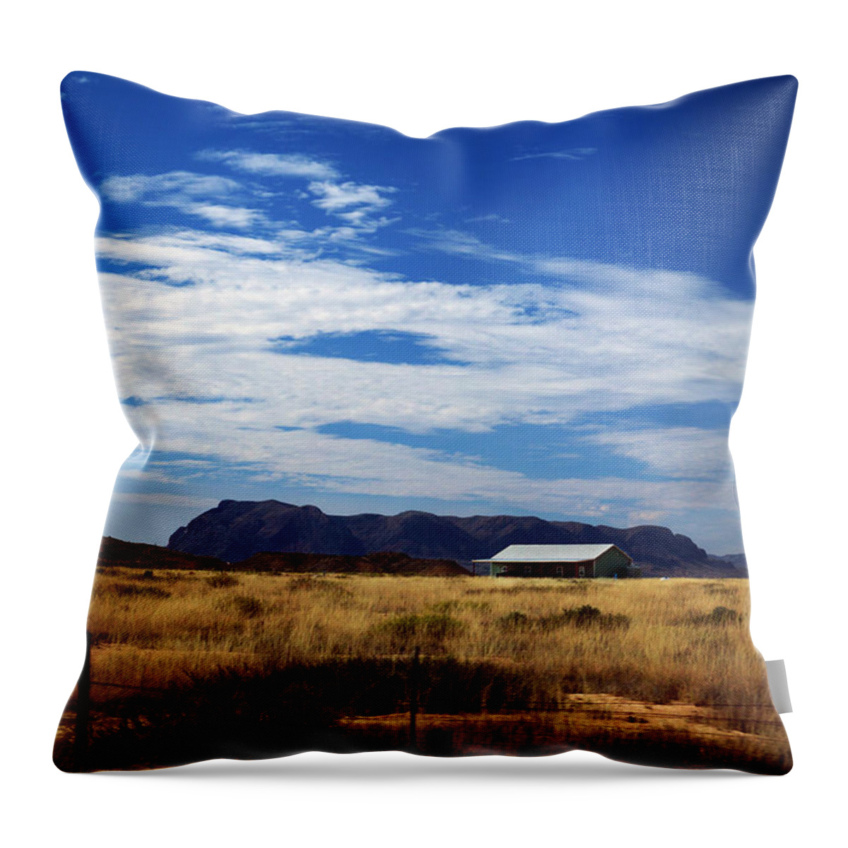 West Texas Horizon Throw Pillow featuring the photograph West Texas #1 by David Chasey