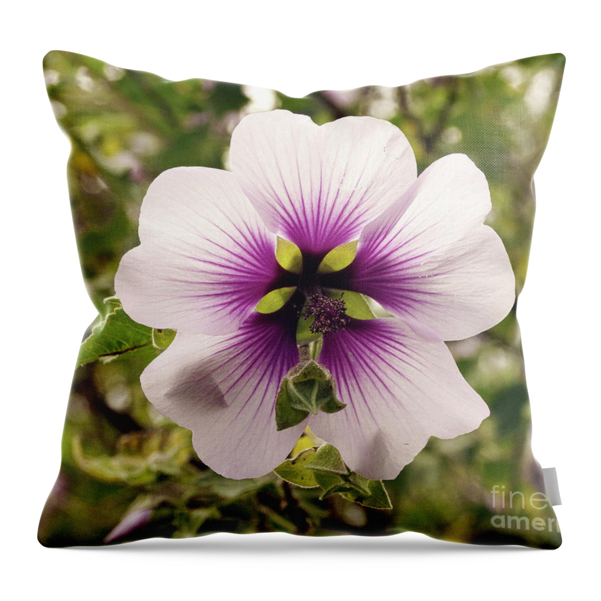 Flower Throw Pillow featuring the photograph Western Australian Native Hibiscus by Cassandra Buckley