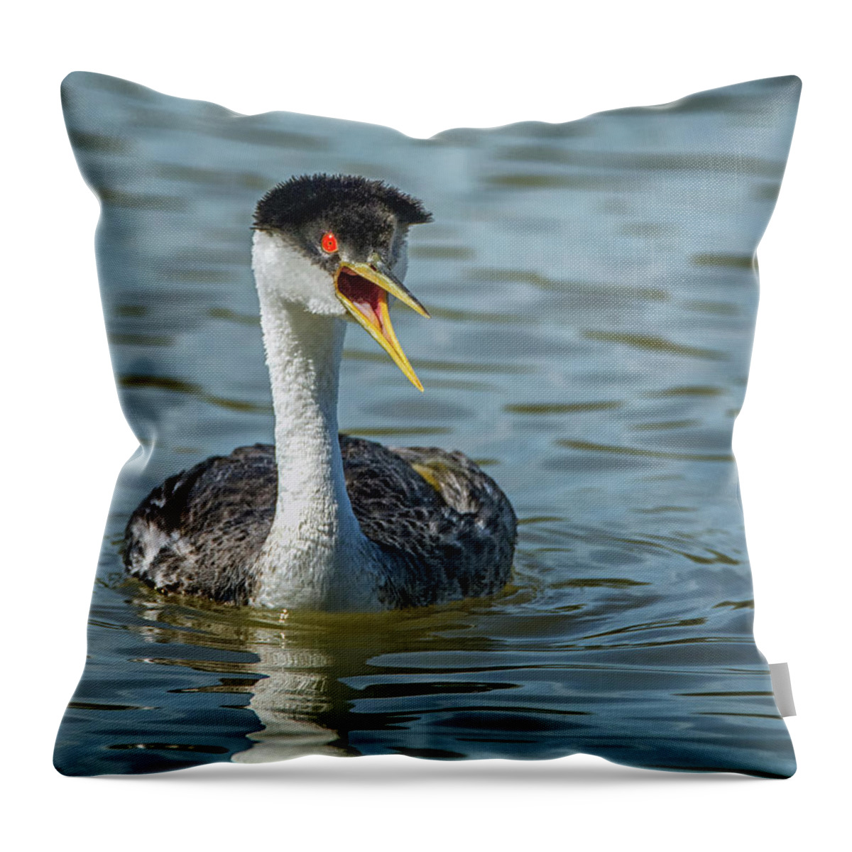 Western Throw Pillow featuring the photograph Western Grebe by Tam Ryan