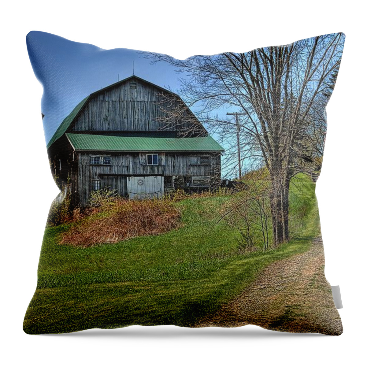 Barn Throw Pillow featuring the photograph Western Pennsylvania Country Barn by Dyle  Warren