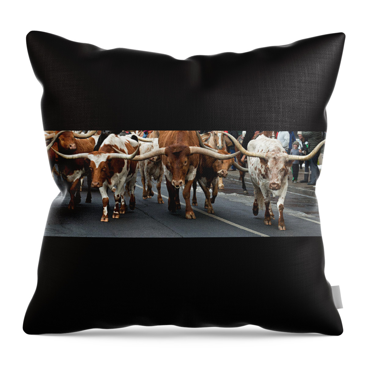 Denver Throw Pillow featuring the photograph Western Stock Show - 2 by OLena Art by Lena Owens - Vibrant DESIGN