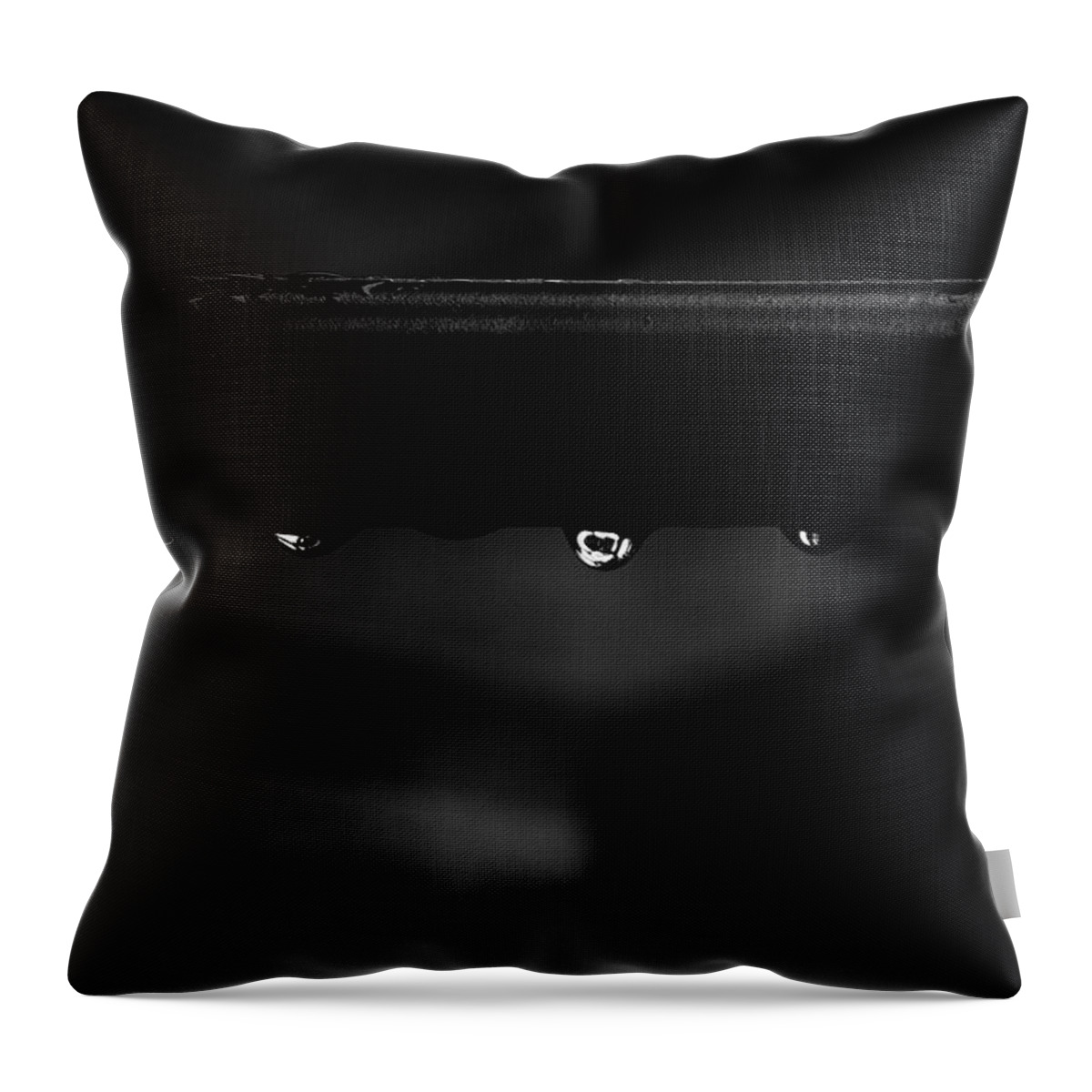 Water Drops Throw Pillow featuring the photograph Wet Bar by Richard Rizzo