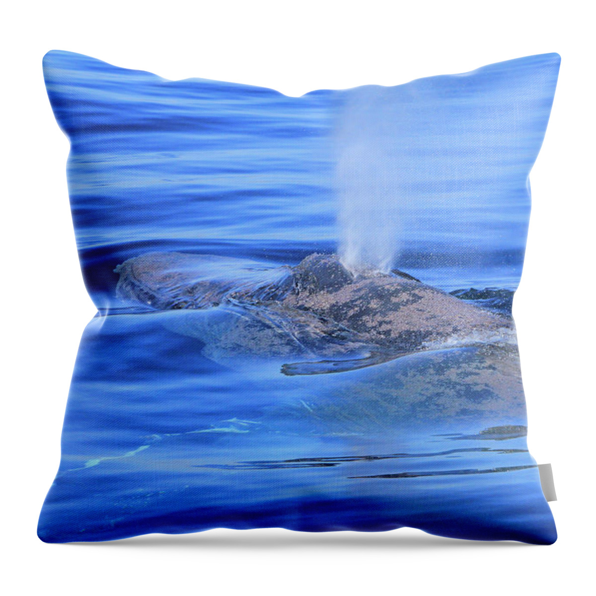 Whale Throw Pillow featuring the photograph Wet Breath by Shoal Hollingsworth