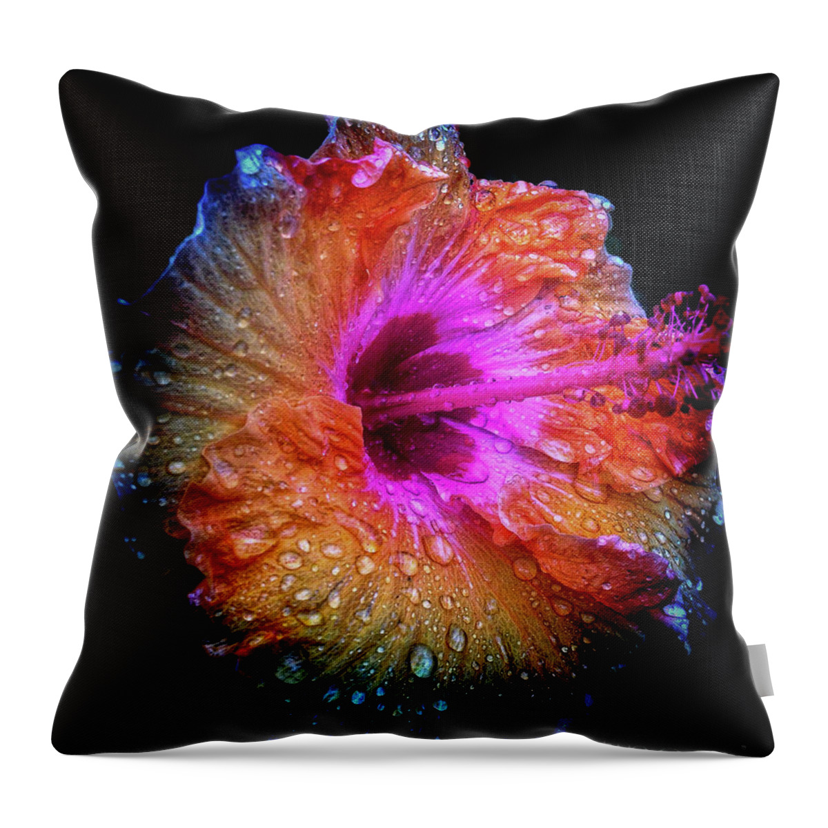 Flower Throw Pillow featuring the photograph Wet Hibiscus-snapseeded by Barry Bohn