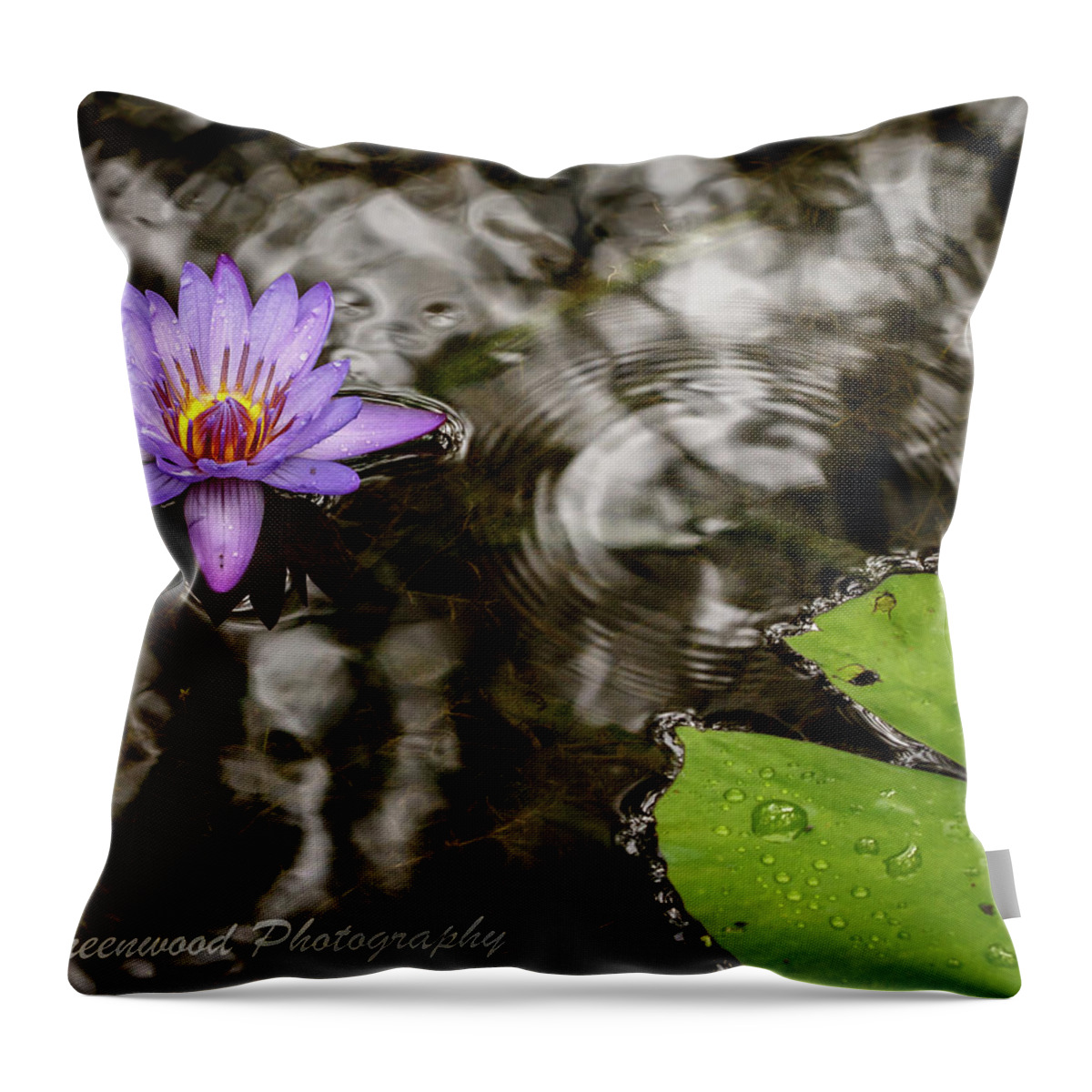 Lily Throw Pillow featuring the photograph Wet Lily by Les Greenwood