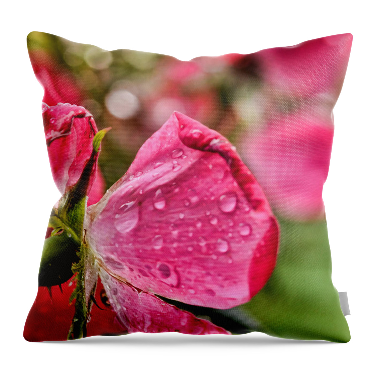Wet Throw Pillow featuring the photograph Wet Petals by Kerri Farley