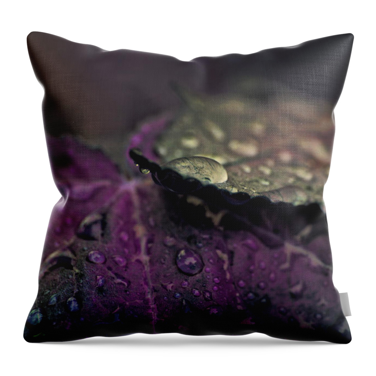 Painted Photo Throw Pillow featuring the painting Wet Purple Leaves by Bonnie Bruno