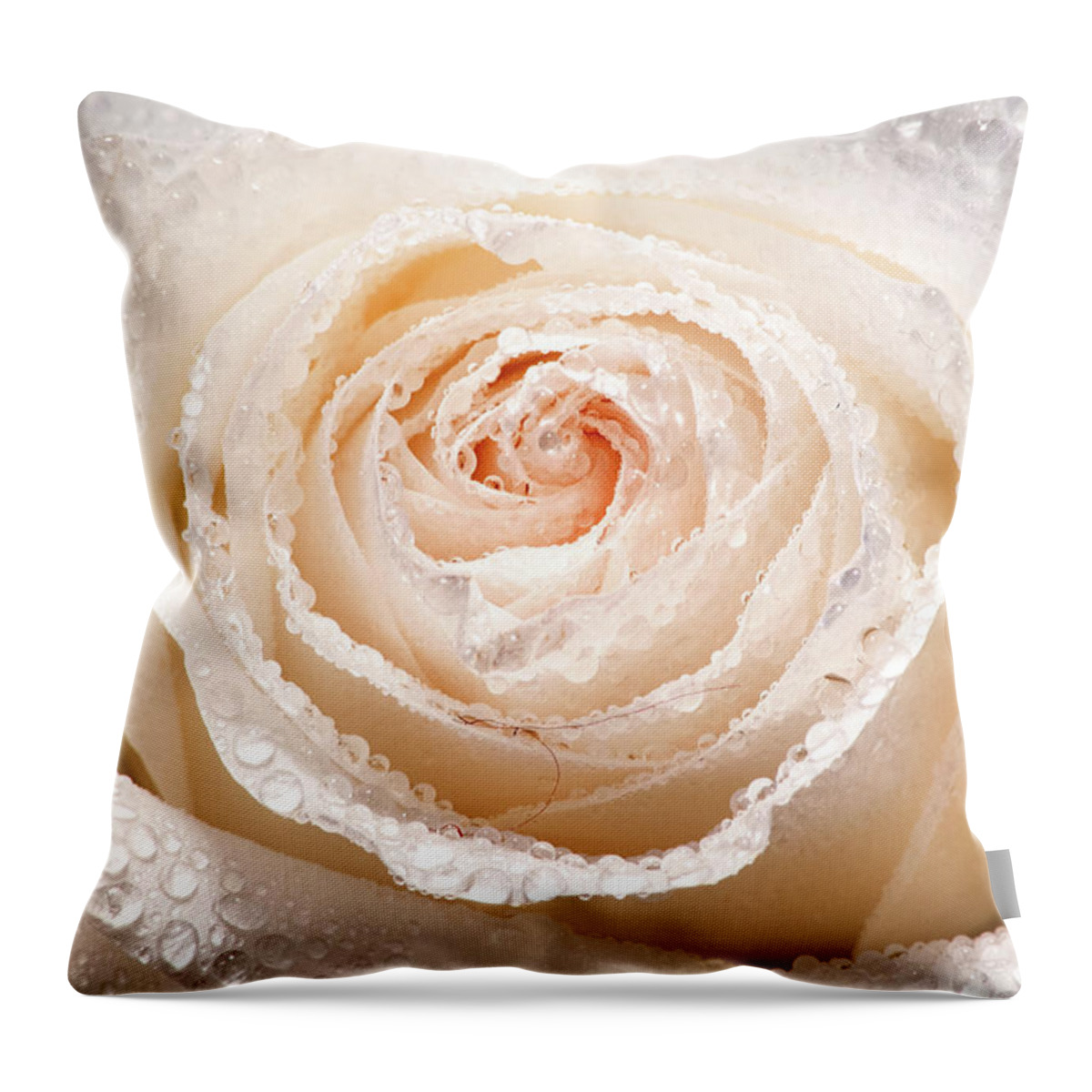 Rose Throw Pillow featuring the photograph Wet White Rose by Don Johnson