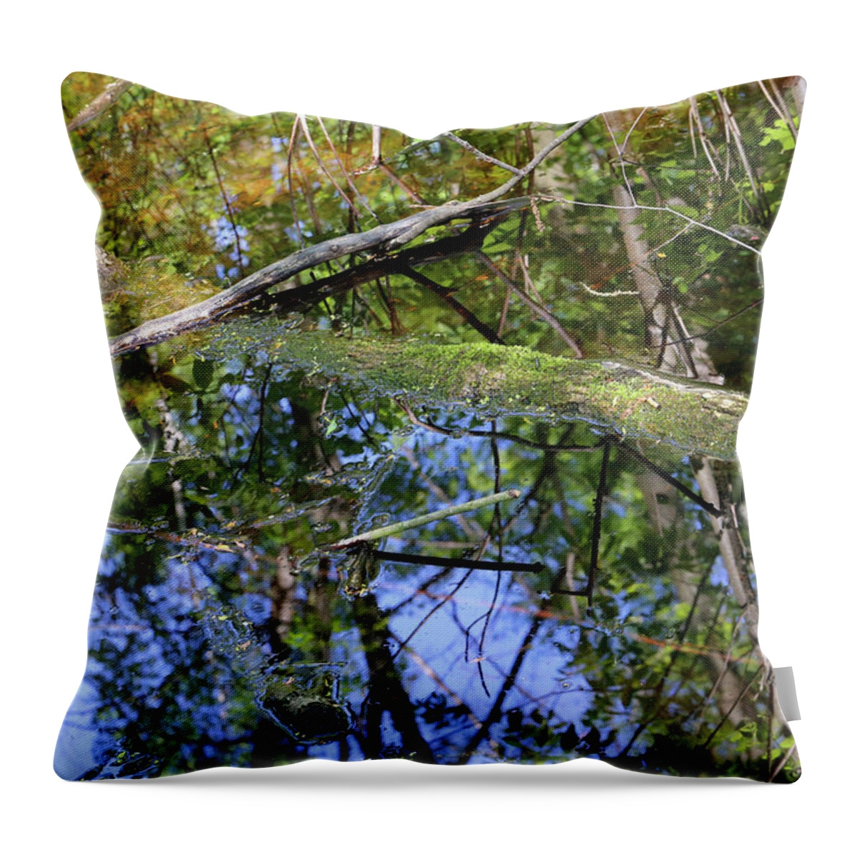 Wetlands Throw Pillow featuring the photograph Wetland Colors 3 052318 by Mary Bedy
