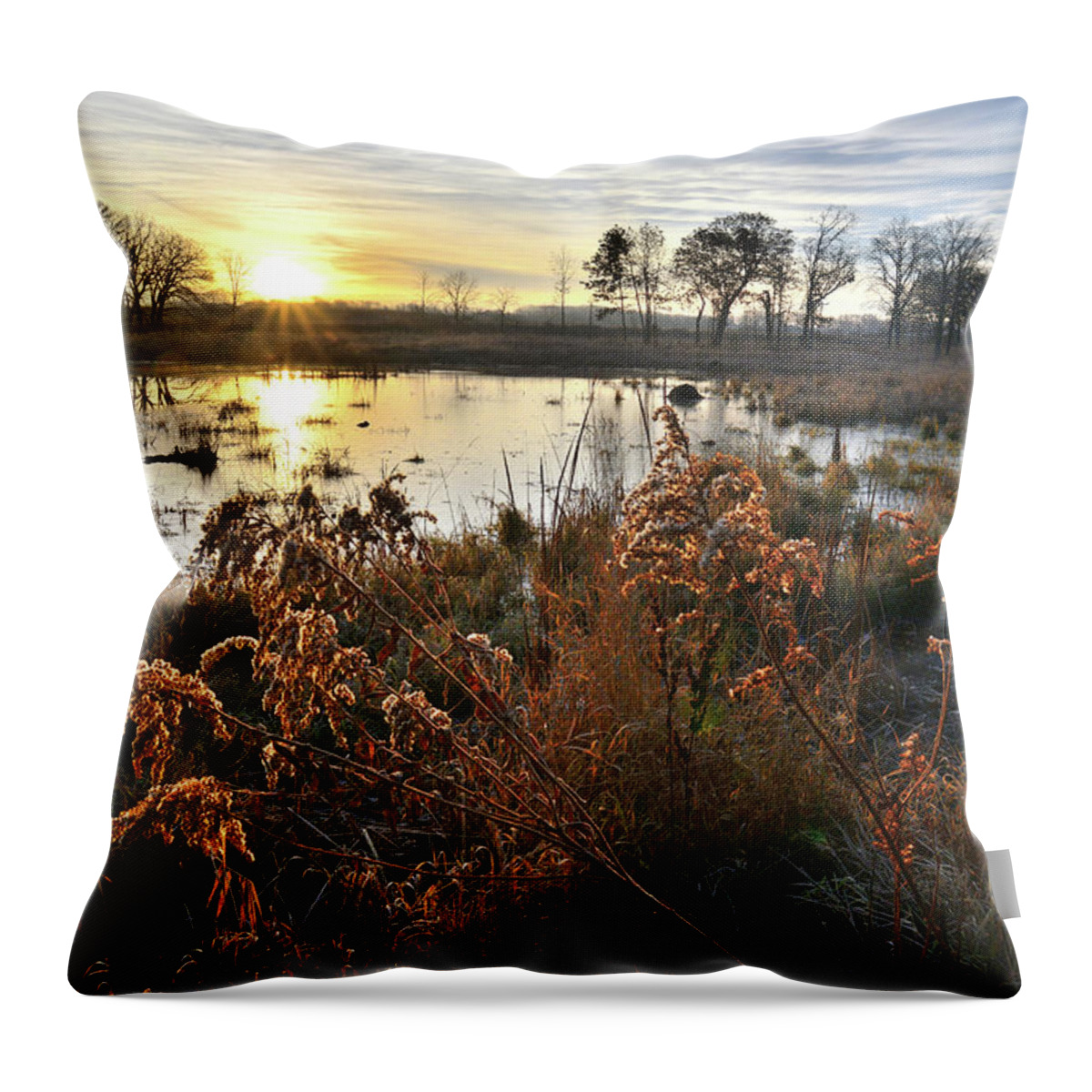 Glacial Park Throw Pillow featuring the photograph Wetland Sunrise in Hackmatach National Wildlife Refuge by Ray Mathis