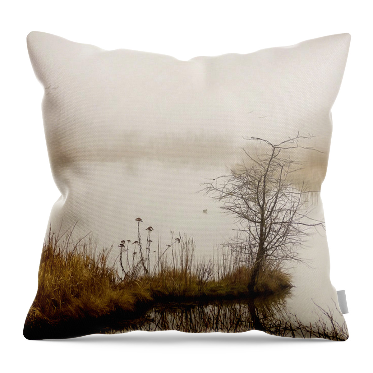 Wetlands Throw Pillow featuring the photograph Wetland Wonders of Winter by Jordan Blackstone
