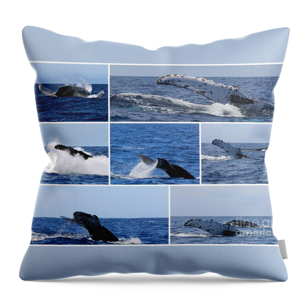 Seascape Throw Pillow featuring the photograph Whale Action by Sheila Ping
