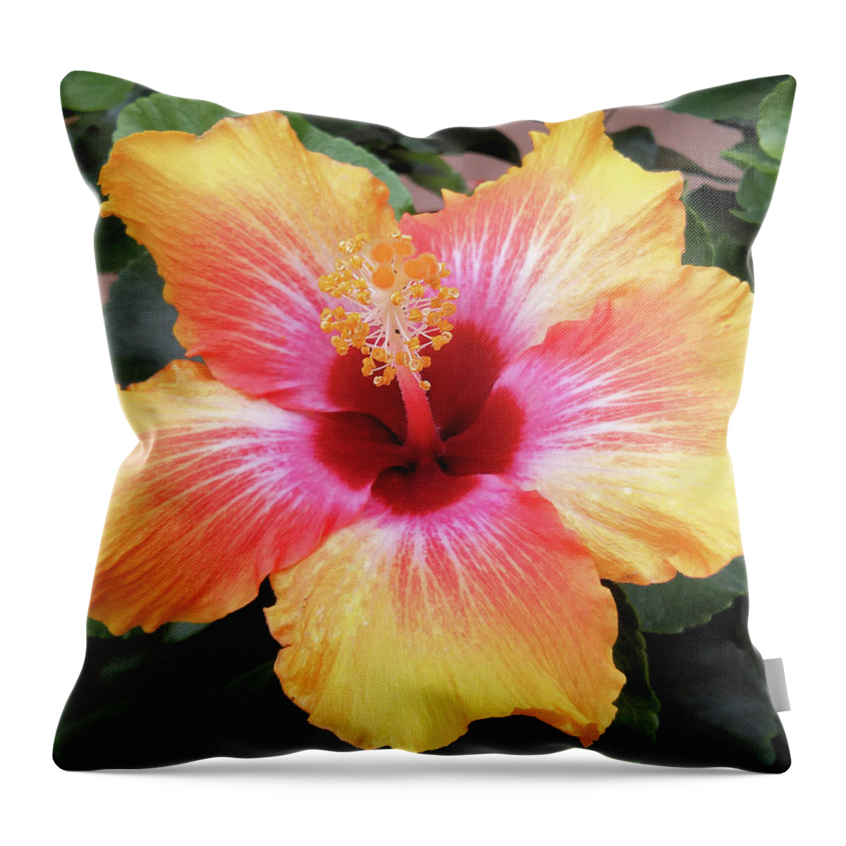 Pink Throw Pillow featuring the painting What a Beauty by Vickie G Buccini
