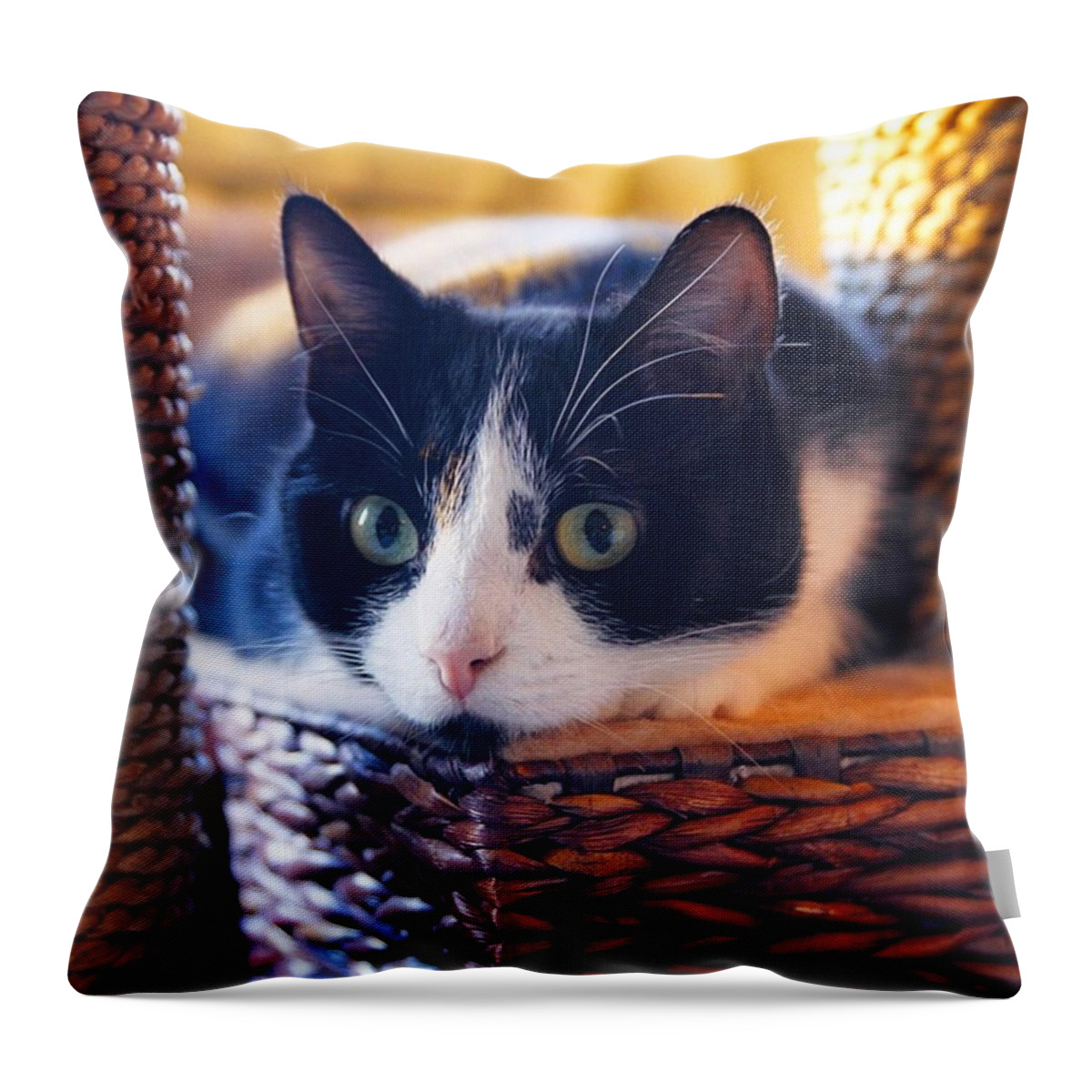 Naptime Throw Pillow featuring the photograph What a day by Kip Andkees