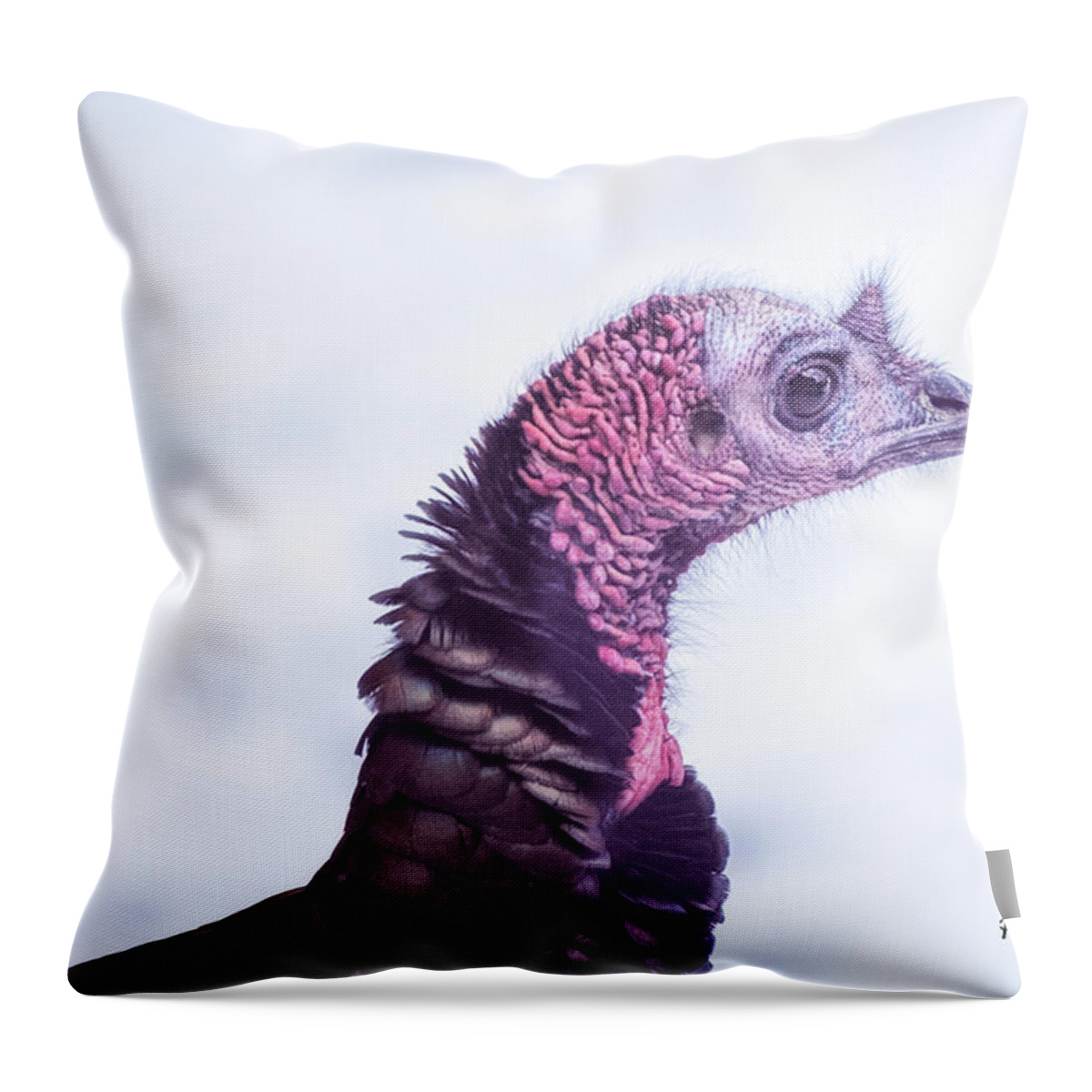 Turkey Throw Pillow featuring the photograph What a Face by Peg Runyan