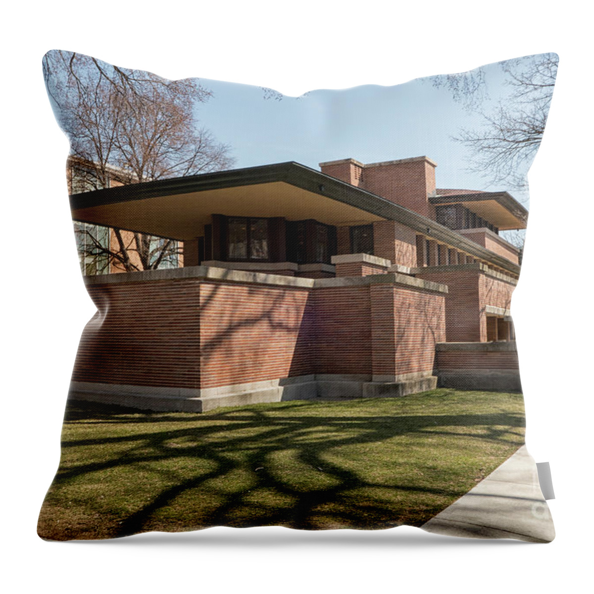 American Throw Pillow featuring the photograph What a house by Patricia Hofmeester