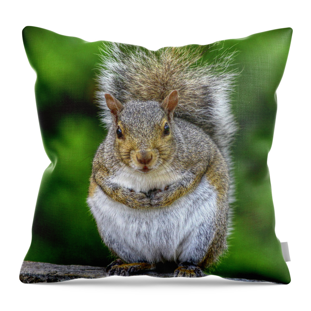 What Are You Looking At Throw Pillow featuring the digital art What Are You Looking At by Randy Steele