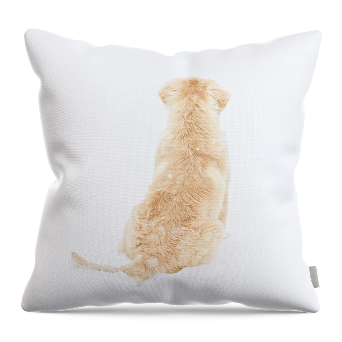 Puppy Throw Pillow featuring the photograph What do you see? by Jennifer Grossnickle