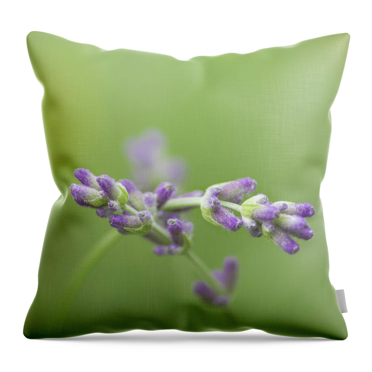  Throw Pillow featuring the photograph What Friends Are For by Peter Scott