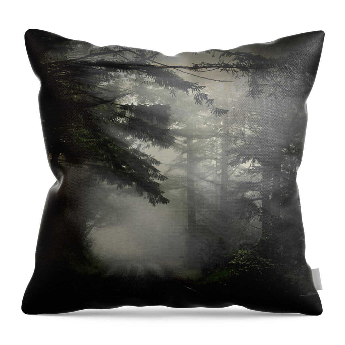 California Throw Pillow featuring the photograph What is Out There? by Don Hoekwater Photography