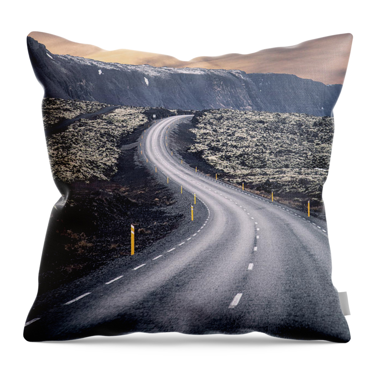 Kremsdorf Throw Pillow featuring the photograph What Lies Ahead by Evelina Kremsdorf