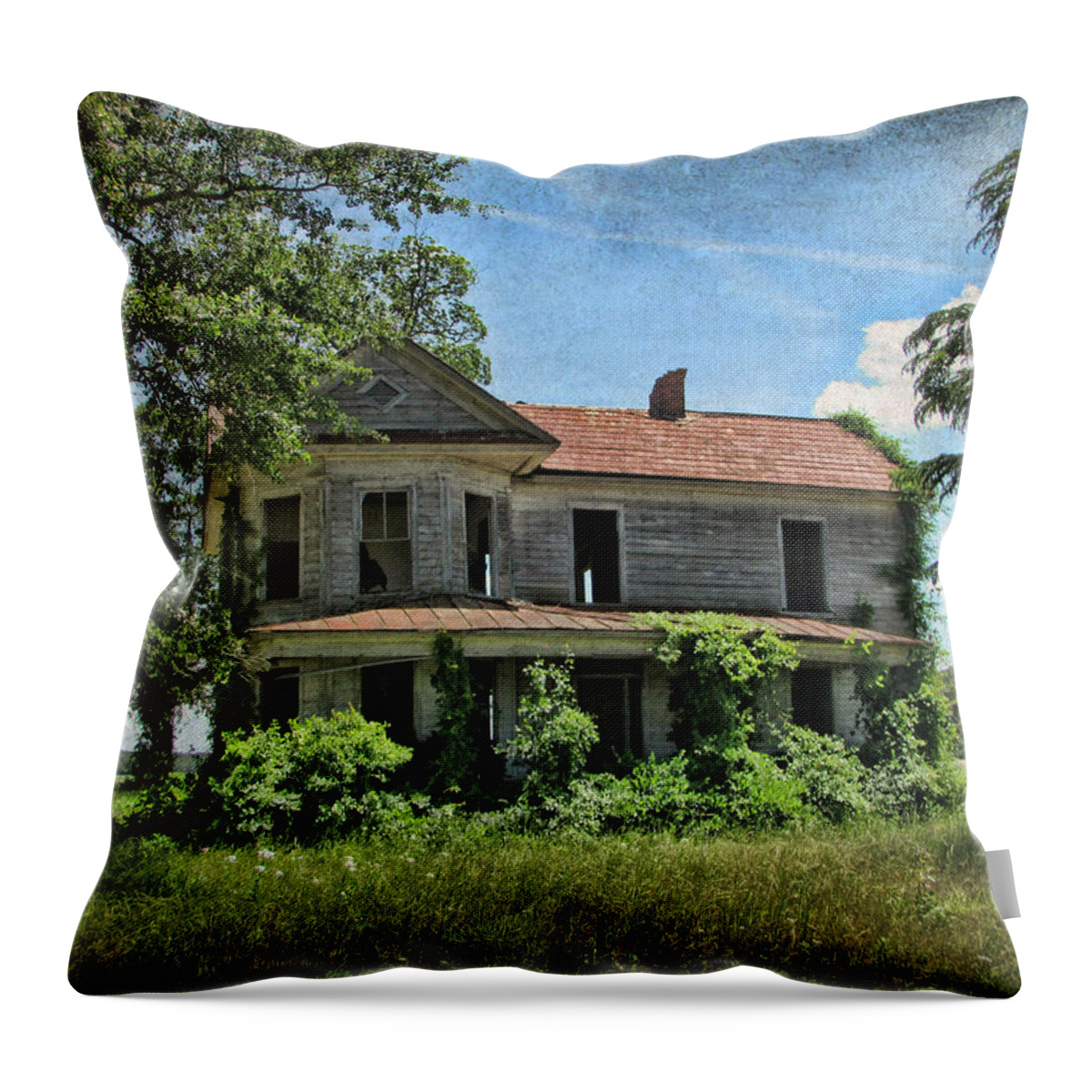 Victor Montgomery Throw Pillow featuring the photograph What Once Was by Vic Montgomery
