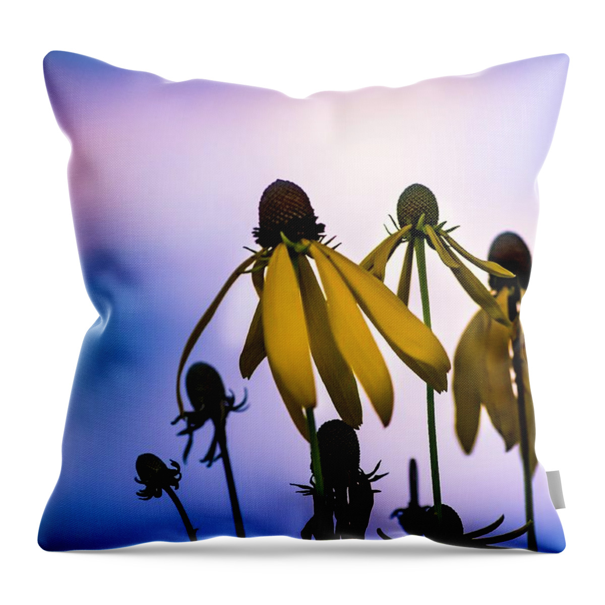  Throw Pillow featuring the photograph What Remains by Terri Hart-Ellis