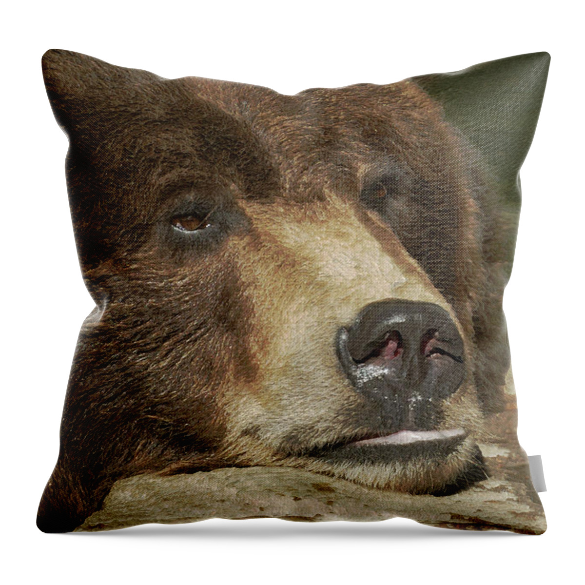 Animals Throw Pillow featuring the photograph What to do What to do by Ernest Echols