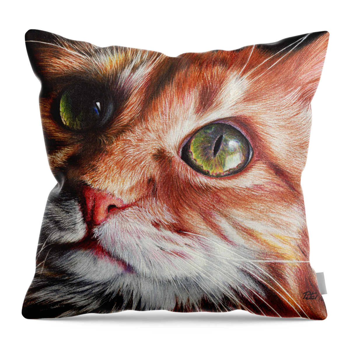 Cat Throw Pillow featuring the drawing Butter Wouldn't Melt by Peter Williams