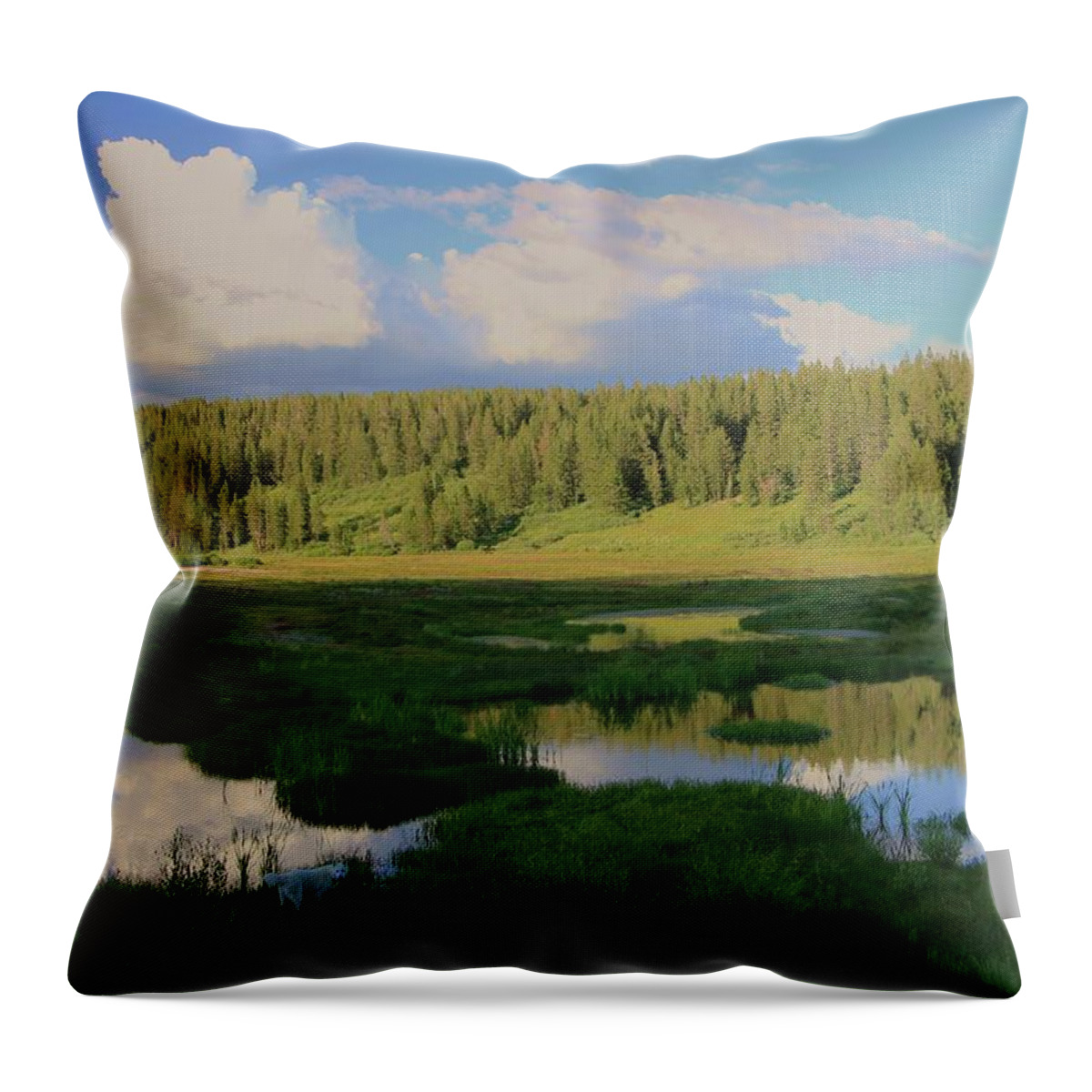 Incline Lake Throw Pillow featuring the photograph What's Left Of A Lake by Sean Sarsfield
