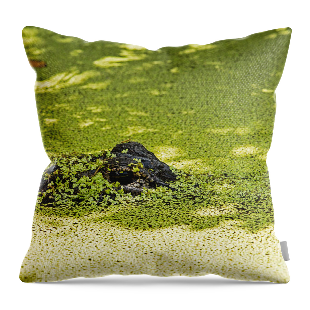Duckweed Throw Pillow featuring the photograph What's Under the Duckweed in the Pond by Natural Focal Point Photography