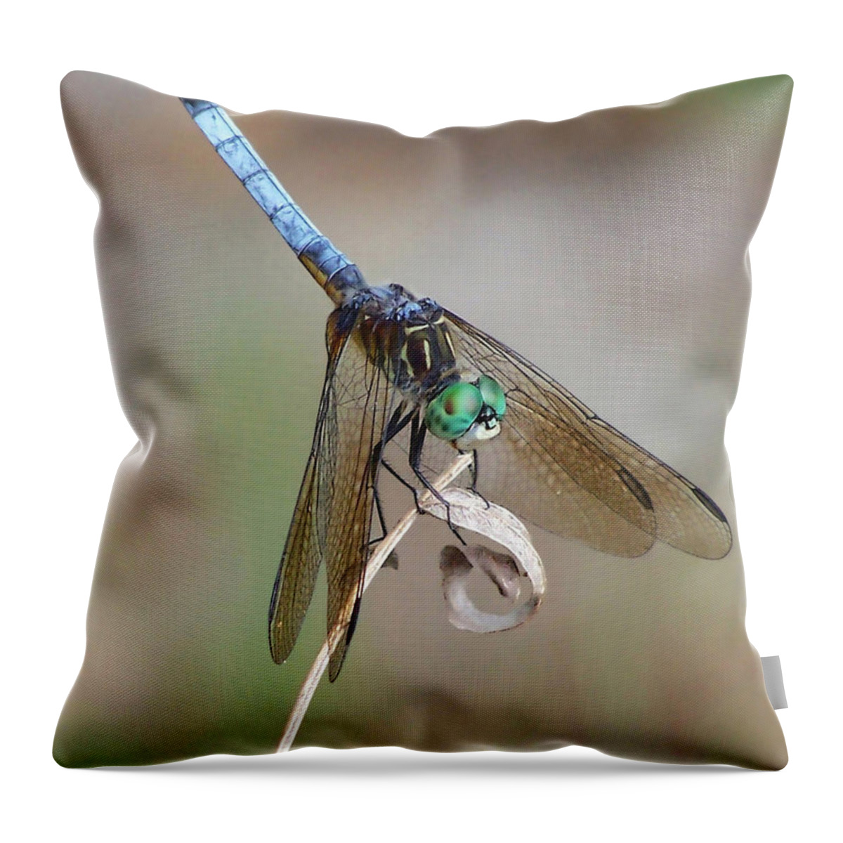 Nature Throw Pillow featuring the photograph What's Up by Peggy Urban