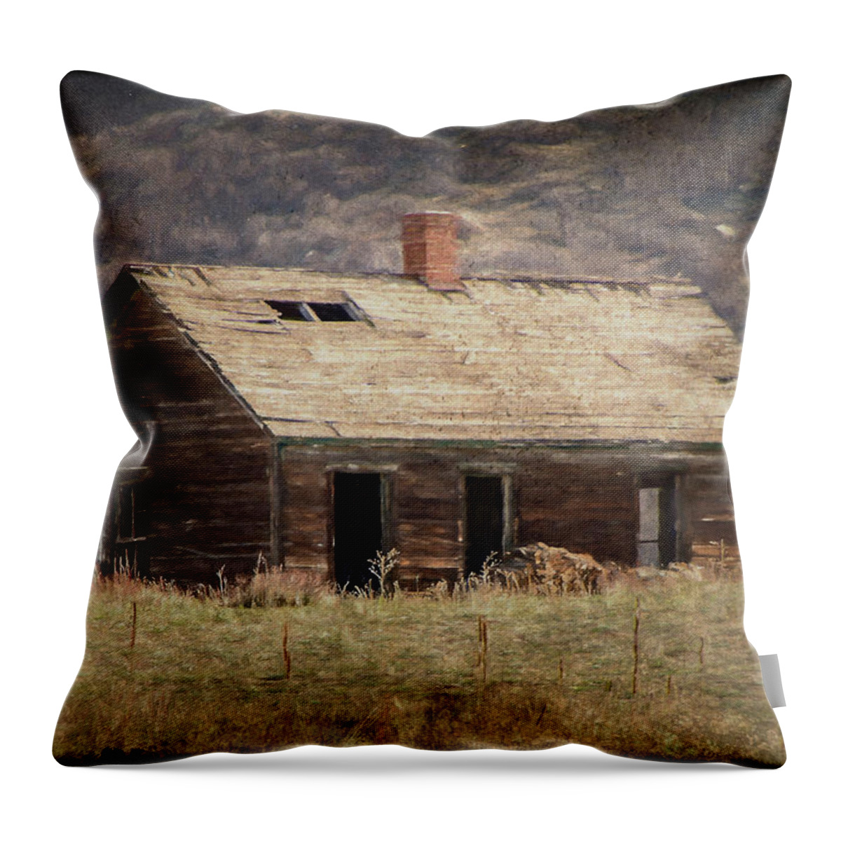 Abandon Throw Pillow featuring the photograph What's Your Story Old House? by Teresa Wilson