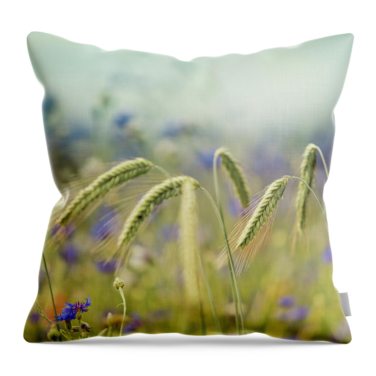 Wheat Throw Pillow featuring the photograph Wheat And Corn Flowers by Nailia Schwarz