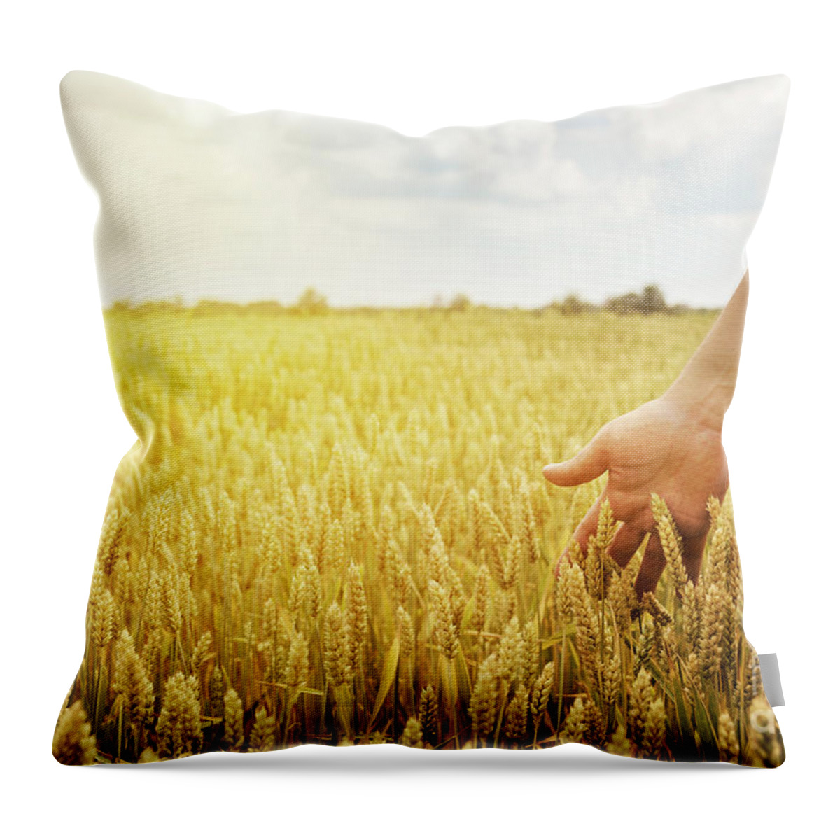 Wheat Throw Pillow featuring the photograph Wheat Field by Jelena Jovanovic