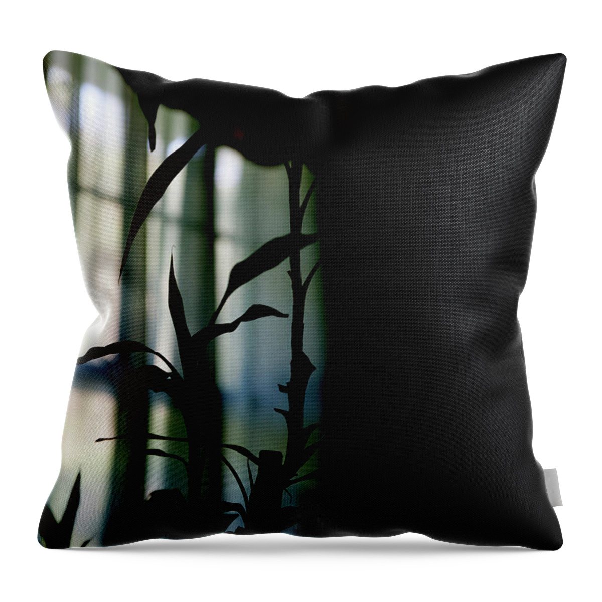 Lucky Bamboo Throw Pillow featuring the photograph When It Wears The Blue of May by Linda Shafer