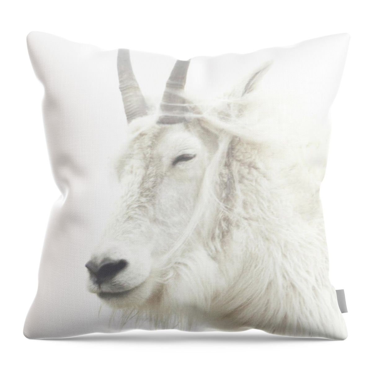 When Throw Pillow featuring the photograph When The Wind Blows Cold by Brian Gustafson