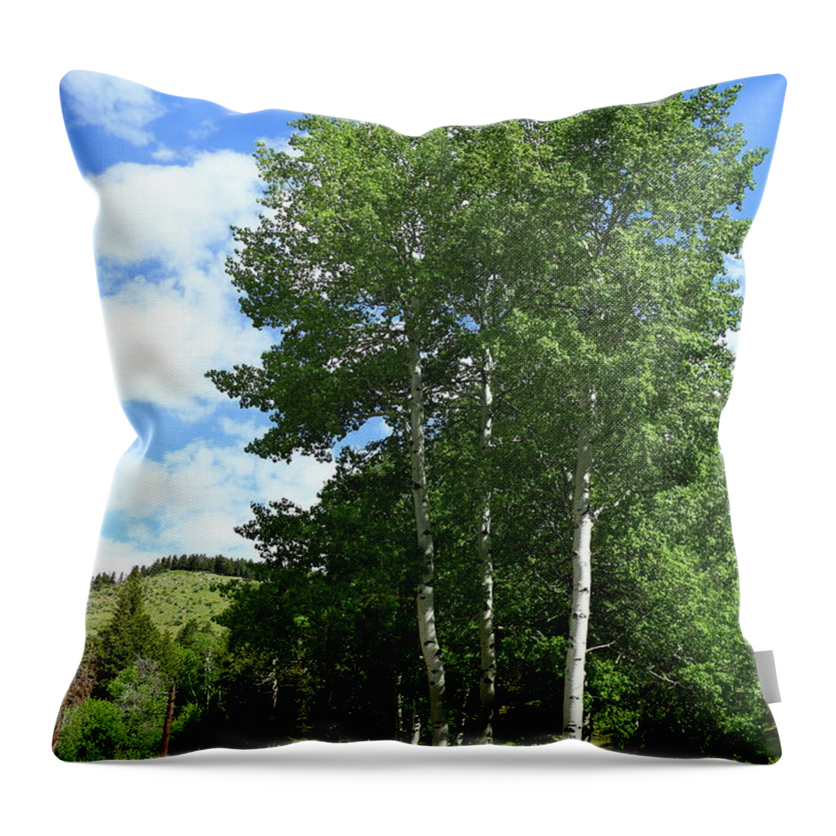 Park Throw Pillow featuring the photograph When Will I See You Again by Christiane Schulze Art And Photography